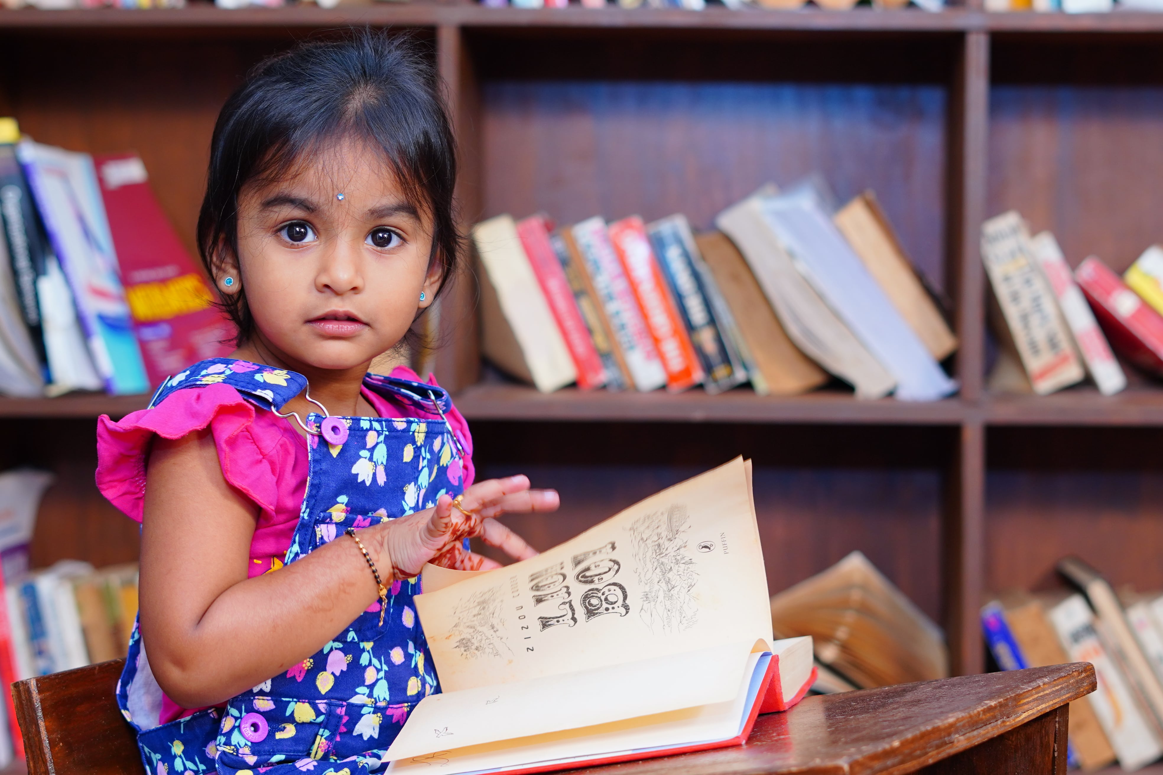 Close-up view of vibrant flowers in full bloom